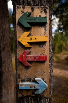 daniel-irwin-4dfMJ5T-NDw-unsplash daniel-irwin-4dfMJ5T-NDw-unsplash
